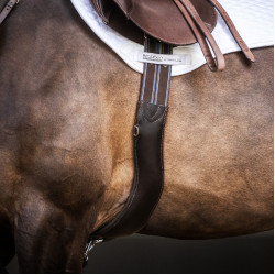 Cinch Stübben de cuero Contornos elásticos en ambos lados Ébano