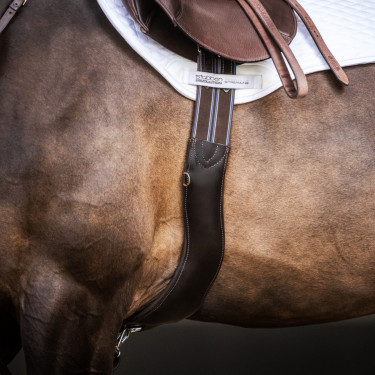 Cinch Stübben de cuero Contornos elásticos en ambos lados Ébano