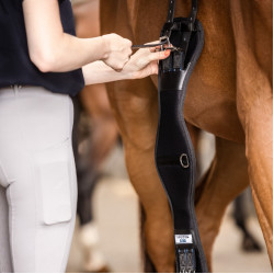 Cinchón Stübben de neopreno corto Coolmax con elásticos a ambos lados
