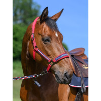 Cabezada y ramal Tommy Hilfiger Equestrian Yale Rojo primario