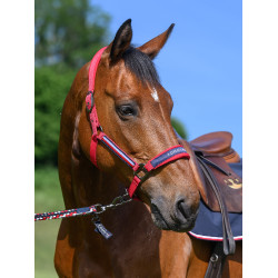 Cabezada y ramal Tommy Hilfiger Equestrian Yale