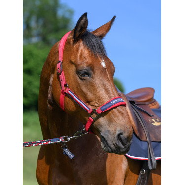 Cabezada y ramal Tommy Hilfiger Equestrian Yale