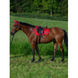 Alfombra de salto CSO Tommy Hilfiger Equestrian Harvard Alfombra de salto CSO Tommy Hilfiger Equestrian Harvard