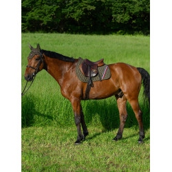Alfombra de salto CSO Tommy Hilfiger Equestrian Stanford Alfombra de salto CSO Tommy Hilfiger Equestrian Stanford