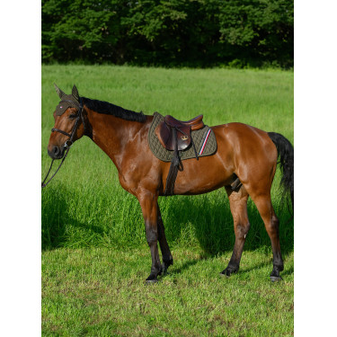 Alfombra de salto CSO Tommy Hilfiger Equestrian Stanford Alfombra de salto CSO Tommy Hilfiger Equestrian Stanford