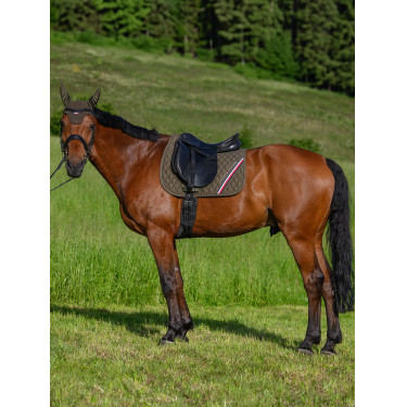 Alfombra de doma Tommy Hilfiger Equestrian Stanford Olivier utilitario Alfombra de doma Tommy Hilfiger Equestrian Stanford Olivier utilitario