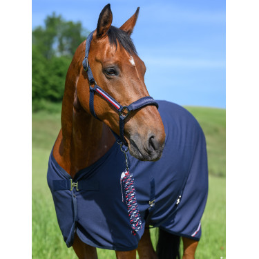 Cabezada y ramal Tommy Hilfiger Equestrian Yale Azul marino