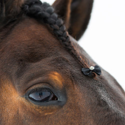 Nudos para trenzar Diamond Finn-Tack por 16 Nudos para trenzar Diamond Finn-Tack por 16