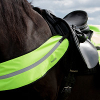 Collar reflectante Horze Amarillo
