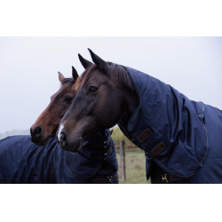 Cobertura de exterior All Weather impermeable Pro Kentucky Marino Azul marino