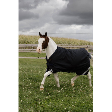 Manta de Exterior Impermeable para Todo Clima Confort Kentucky Manta de Exterior Impermeable para Todo Clima Confort Kentucky