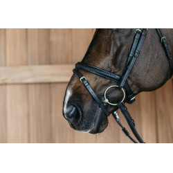 Muserola combinada Dy'on New English Collection Negro