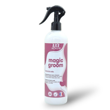 Champú seco Rekor Magic Groom Champú seco Rekor Magic Groom