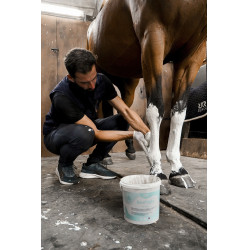 Pasta relajante para tendones y articulaciones Rekor Ice N'Tight