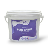 Rekor Ail Pur Puro ajo Rekor Ail Pur Puro ajo