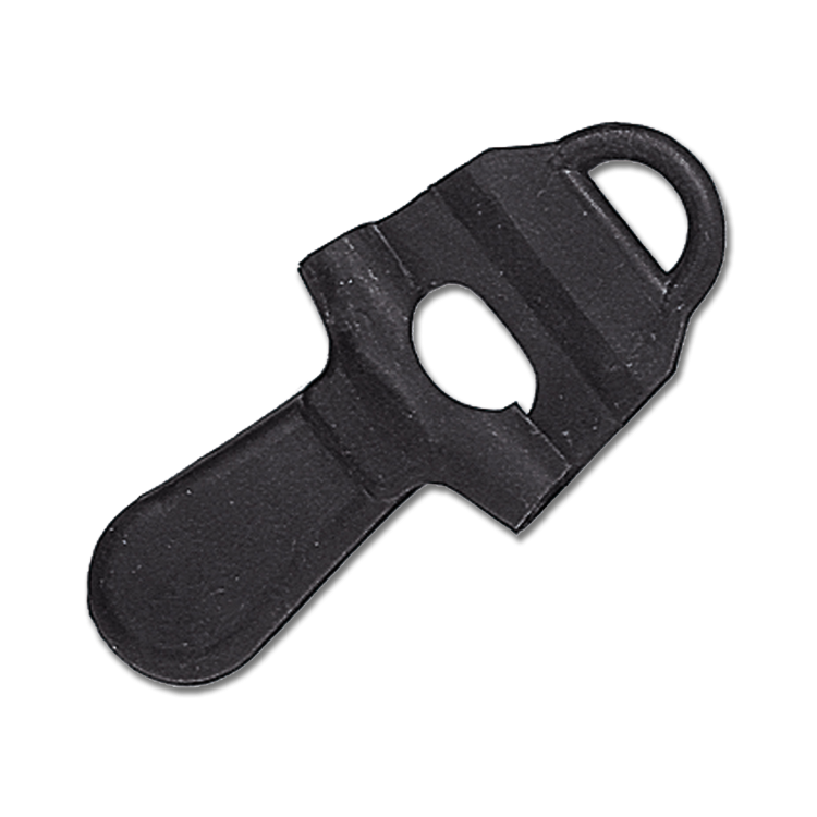 Antipase de lengua Waldhausen Antipase de lengua Waldhausen