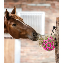 Bola de heno Waldhausen Rosa Bola de heno Waldhausen Rosa