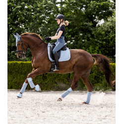 Bandas polares Waldhausen Rom por 4 Azul pastel