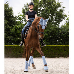 Bandas polares Waldhausen Rom por 4 Azul pastel