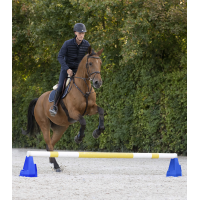Bloque de obstáculos Cavaletti Waldhausen Azul