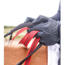 Bricole Waldhausen riendas de seguridad Secutrust Negro