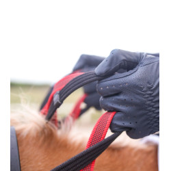 Bricole Waldhausen riendas de seguridad Secutrust Negro