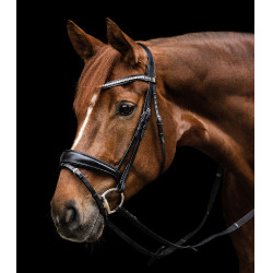 Brida Waldhausen S-Line Essential Negro