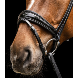 Brida Waldhausen S-Line Magic Negro