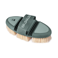 Cepillo de cerda dura Waldhausen Flex Riendas