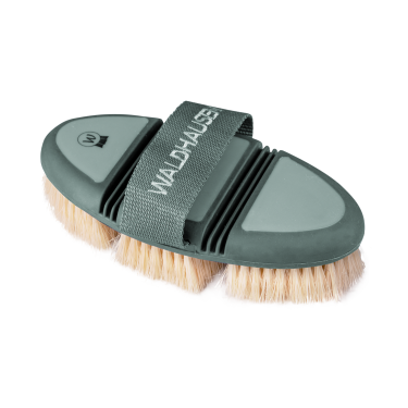 Cepillo de cerda dura Waldhausen Flex Riendas Cepillo de cerda dura Waldhausen Flex Riendas