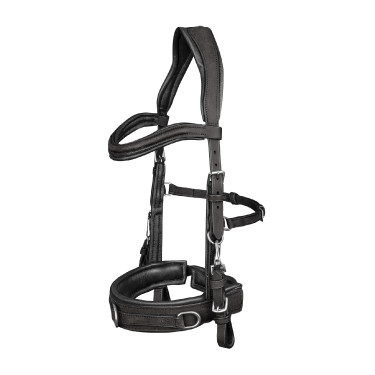 Cavezón Waldhausen de cuero anatómico Negro