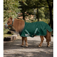 Capa de lluvia Waldhausen Shetland Light Verde abeto