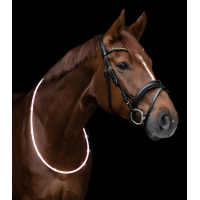 Collar de cuello con LED Waldhausen Blanco