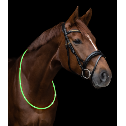 Collar de cuello con LED Waldhausen Verde