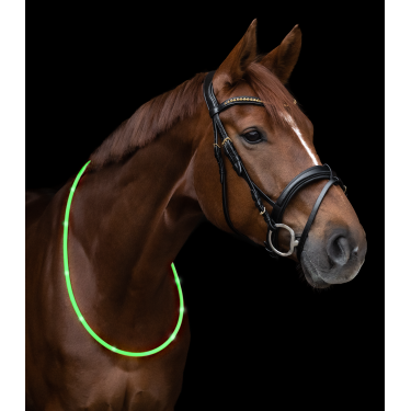 Collar de cuello con LED Waldhausen Verde