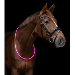 Collar de cuello con LED Waldhausen Rosa