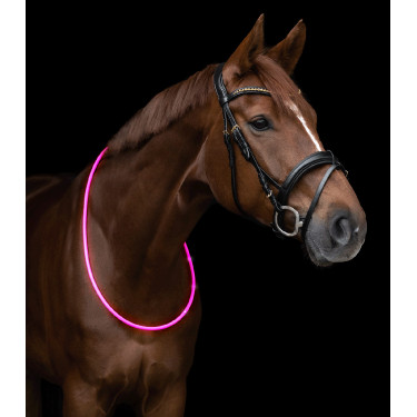 Collar de cuello con LED Waldhausen Rosa