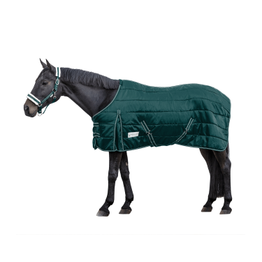 Manta de cuadra Waldhausen Economic 200 g Verde abeto