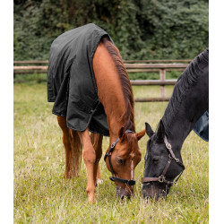 Manta de exterior Waldhausen Nordic 100 g Negro