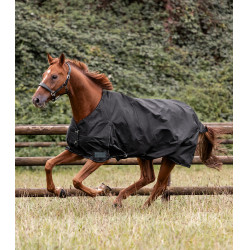 Manta de exterior Waldhausen Nordic 200 g Negro Manta de exterior Waldhausen Nordic 200 g Negro