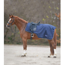 Cubierta de lluvia Waldhausen Comfort con recorte para la silla de montar