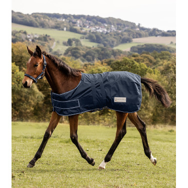 Cubierta de lluvia Waldhausen Comfort para potro Cubierta de lluvia Waldhausen Comfort para potro