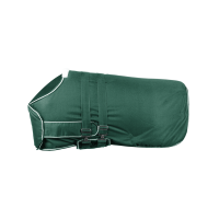 Cubierta de lluvia Waldhausen Comfort para potro Verde abeto