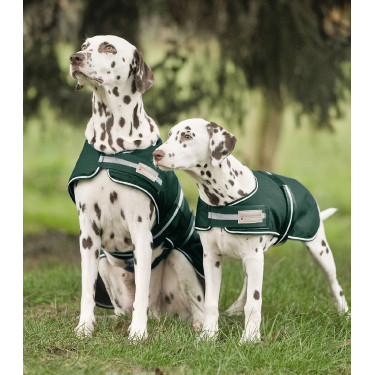 Capa de lluvia Waldhausen para perro Verde abeto