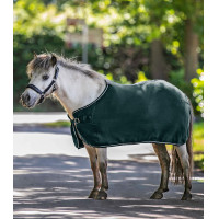 Manta polar Waldhausen Economic Verde abeto