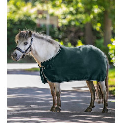 Manta polar Waldhausen Economic Verde abeto