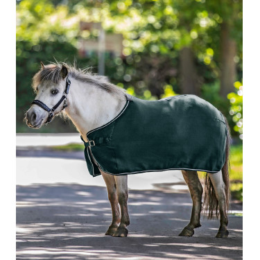 Manta polar Waldhausen Economic Verde abeto