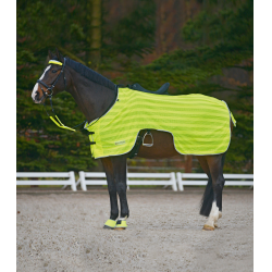 Cubre-riones de equitación Waldhausen Reflex