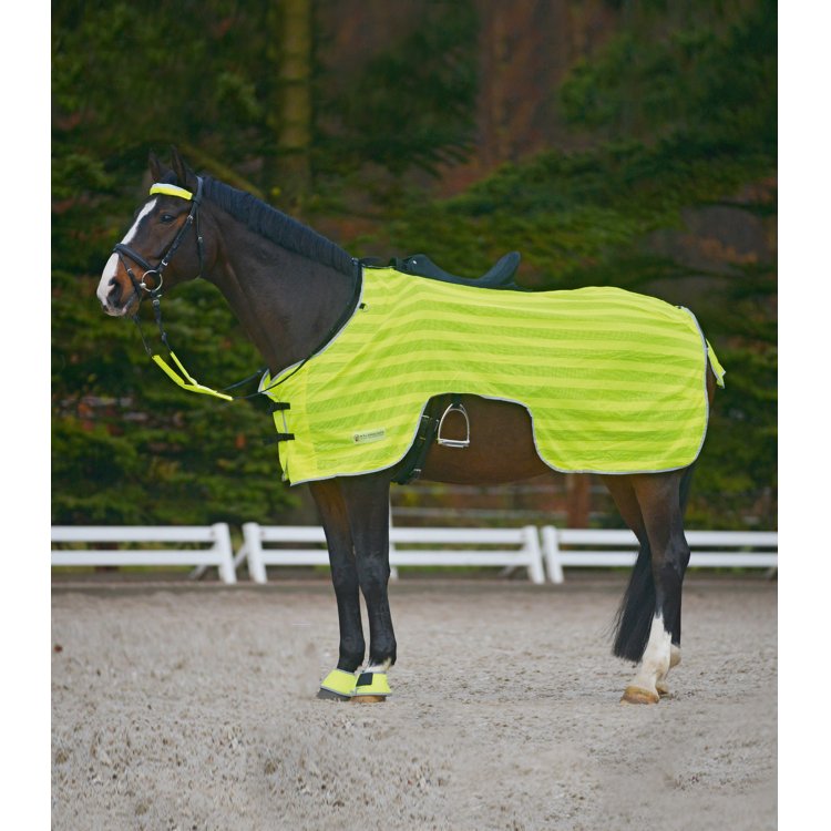 Cubre-riones de equitación Waldhausen Reflex