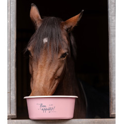 Comedero con tapa Waldhausen Linnea rosa